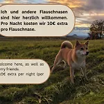 Urlaubsmagie Gluehwuermchen - Perfekt Fuer Gruppen - 6p Lägenhet Sebnitz