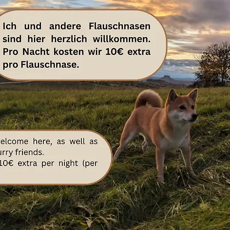 Gk3-urlaubsmagie - Gemütliche, Lichtdurchflutete Wohnung, Bis Zu 6p Apartamento Sebnitz